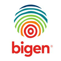 Bigen Africa Group